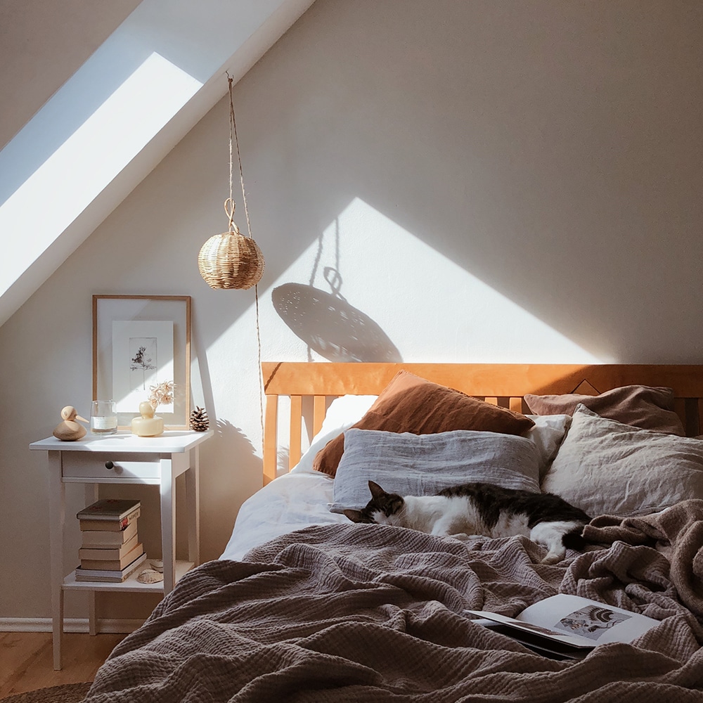 lumière-naturelle-éclairage-lumière-du-jour-bienfaits-atout-avantage-santé-horloge-biologique