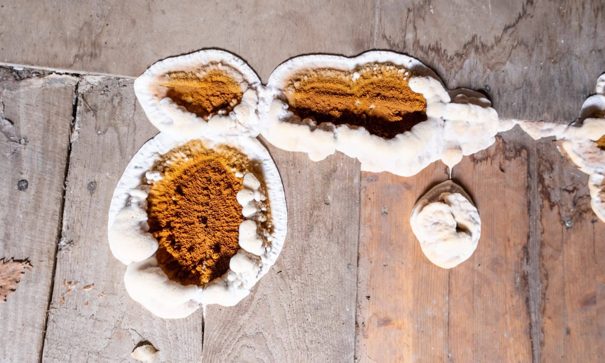 Lit positionné sur de grandes fenêtres de toit, équipées de volets roulants, dans une chambre sous comble aux teintes douces et