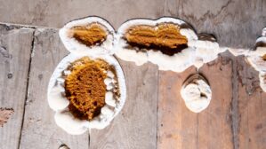 Lit positionné sur de grandes fenêtres de toit, équipées de volets roulants, dans une chambre sous comble aux teintes douces et