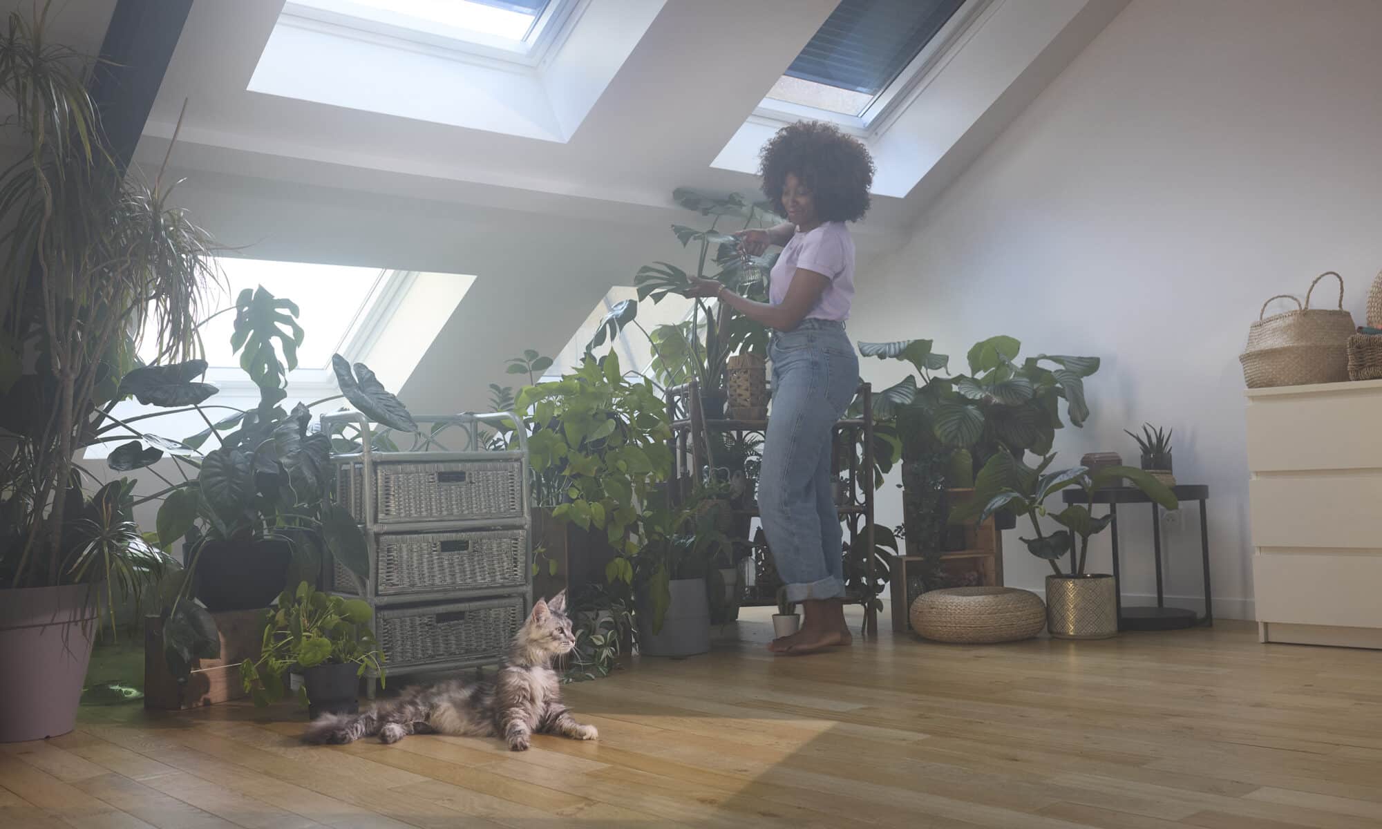 Jeune femme prenant soin de ses plantes dans un appartement sous combles.