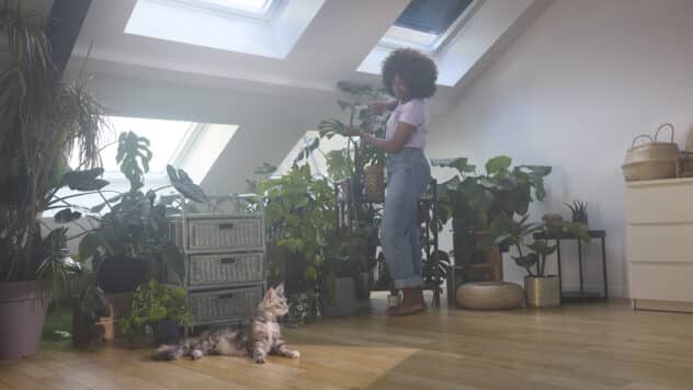 Jeune femme prenant soin de ses plantes dans un appartement sous combles.