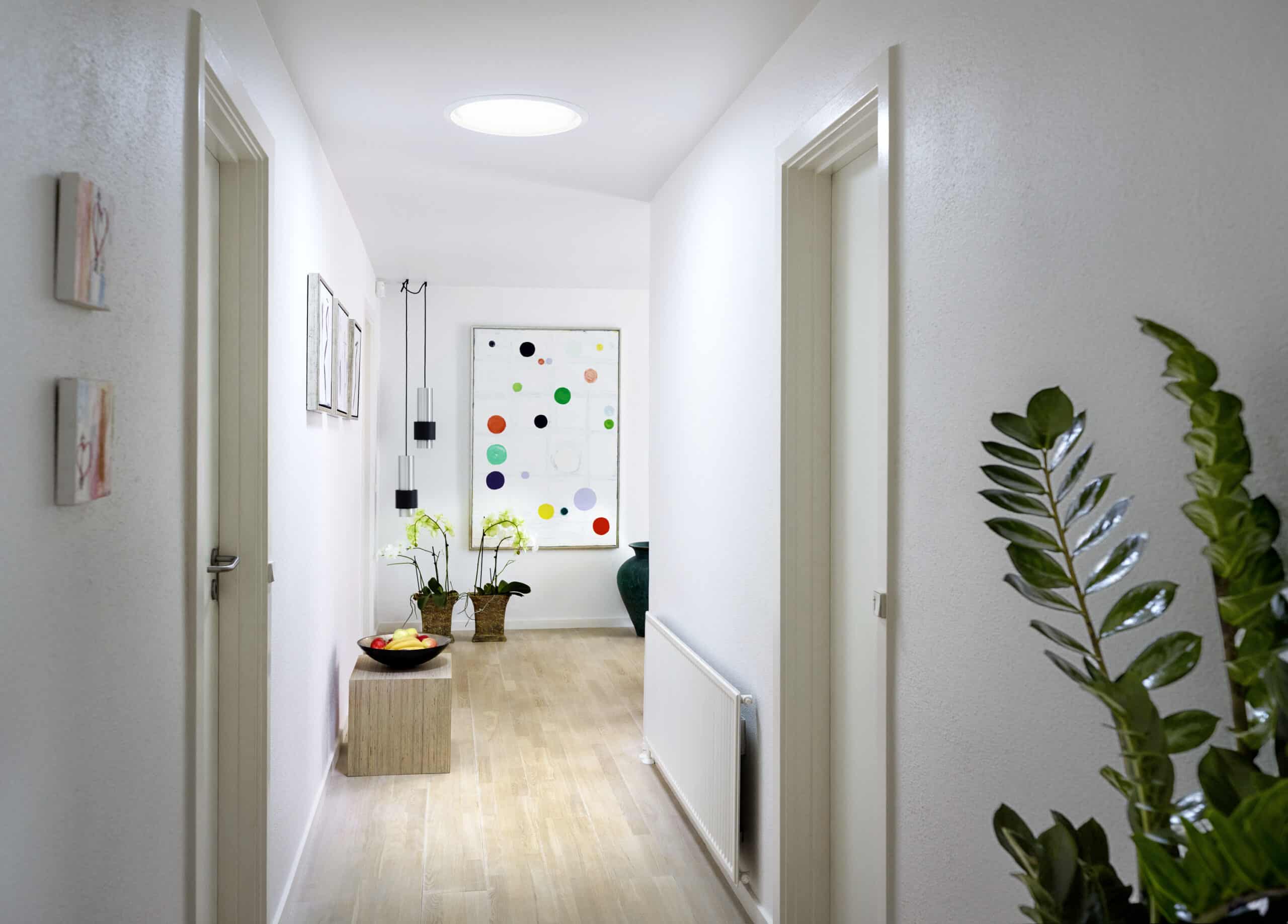 Couloir lumineux &agrave; la d&eacute;coration moderne, agr&eacute;ment&eacute; d'&oelig;uvres d'art et de plantes d'int&eacute;rieur.
