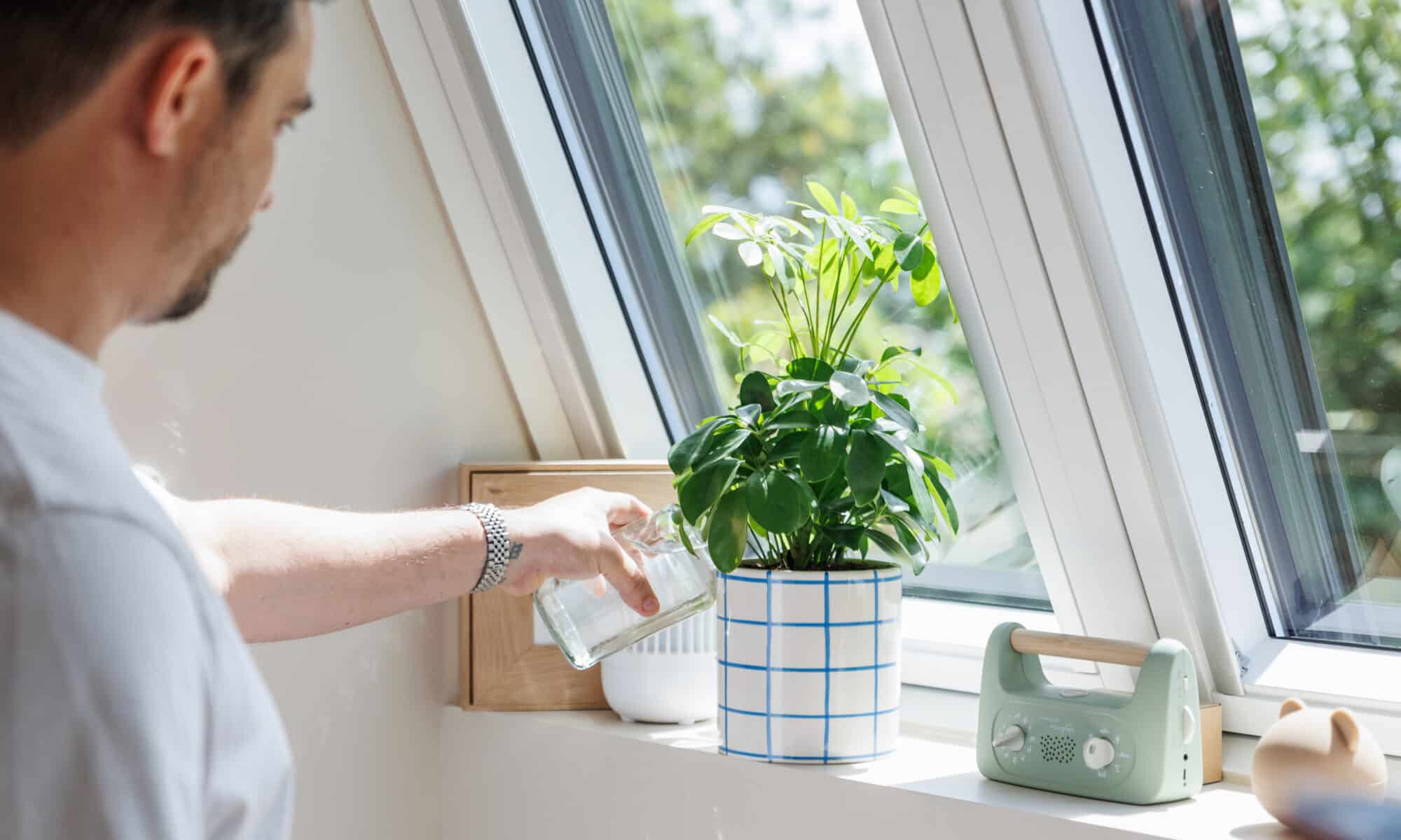 Une personne arrose une plante près d'une fenêtre de toit VELUX ouverte, laissant entrer la lumière naturelle.