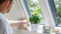 Une personne arrose une plante près d'une fenêtre de toit VELUX ouverte, laissant entrer la lumière naturelle.