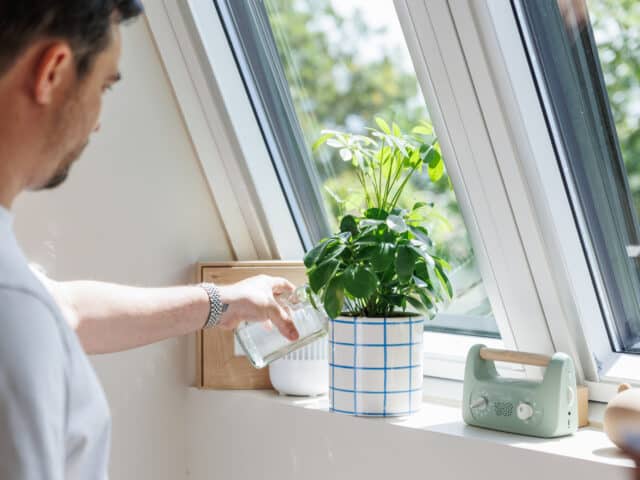 Une personne arrose une plante près d'une fenêtre de toit VELUX ouverte, laissant entrer la lumière naturelle.